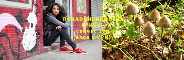 MDMA Premium VHQ Михайловка